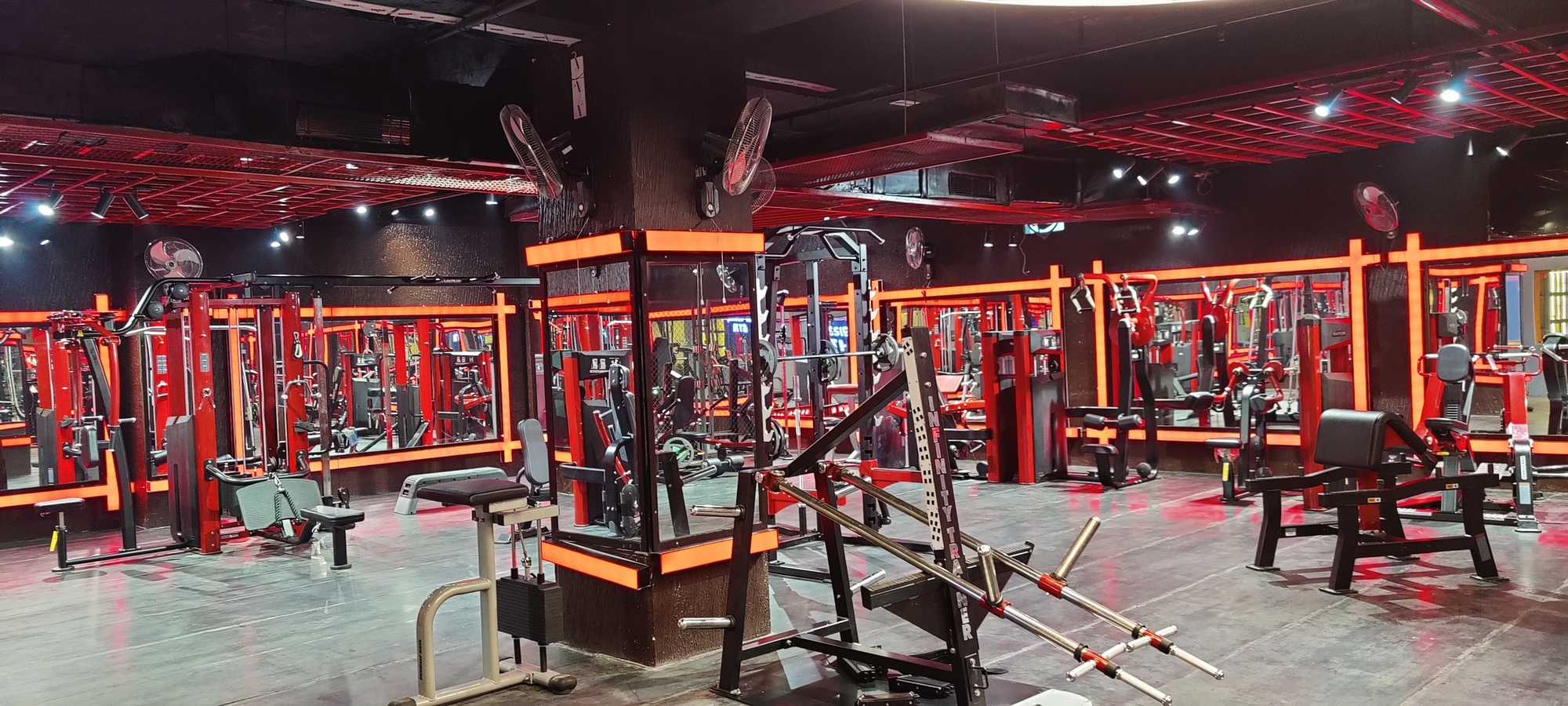 x-game-gym-and-x-games-sports-supplement-agra-chowk-palwal-gyms-rf6ejkyip6